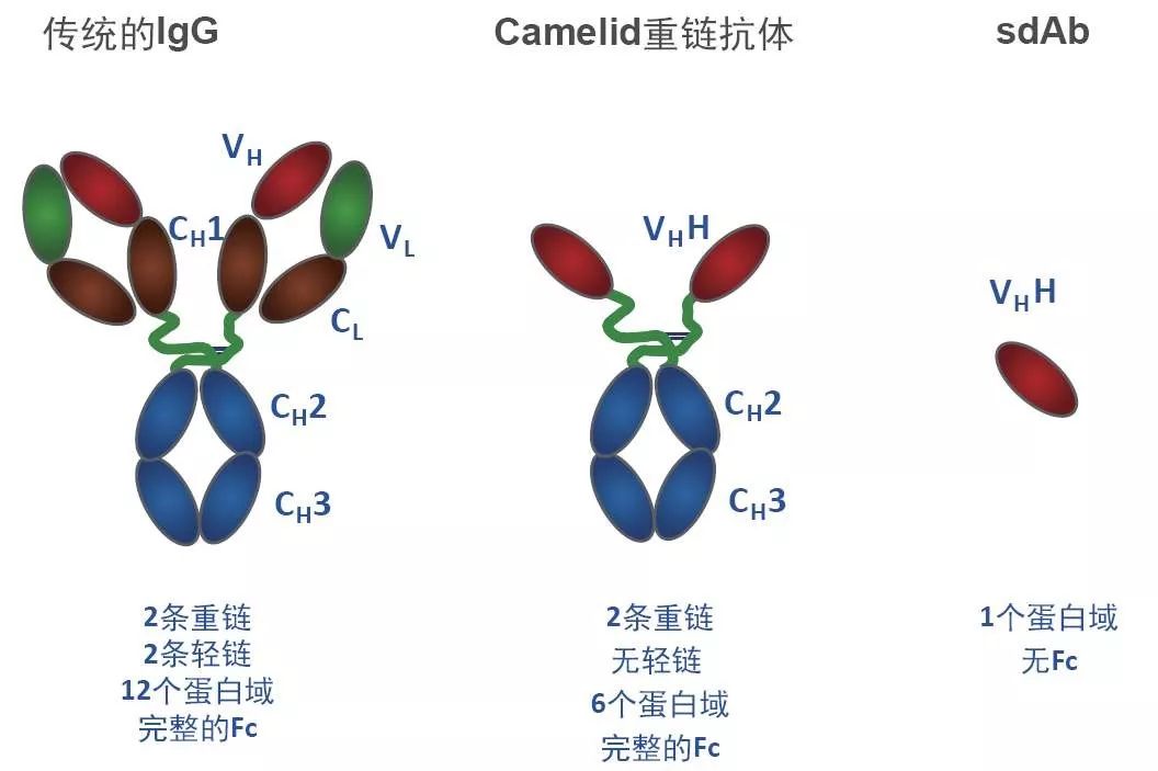 益科思特（北京）科技醫(yī)藥科技發(fā)展有限公司官網(wǎng)